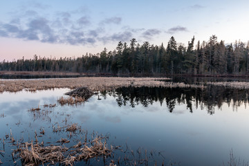 Sunrise over a beaver's lodge in the Adirondack Mountains.  - 343245042