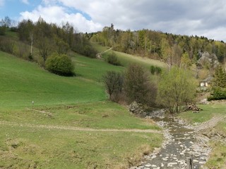 A stream at the foot of the forest hill