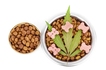 Concept of animal feed, vitamins with CBD oil and cannabis. Cannabidiol with the pet. Cannabinoid CBD oil is used as a dietary supplement. Marijuana products isolated white background