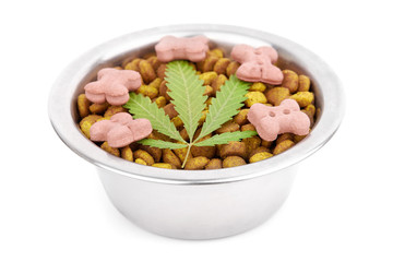 Concept food CBD pet, vitamins with CBD oil and cannabis of animal feed. Cannabidiol oil is used as a dietary supplement. Hemp products isolated white background