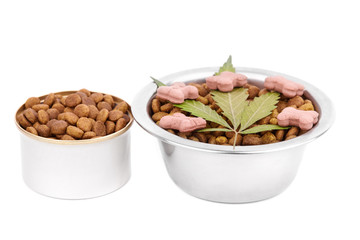 Concept food CBD pet, vitamins with CBD oil and cannabis of animal feed. Cannabidiol oil is used as a dietary supplement. Hemp products isolated white background