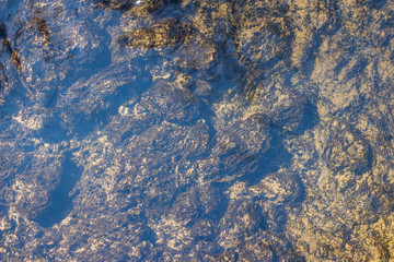 Bluish sheen of clear water and seaweed at the bottom of the creek
