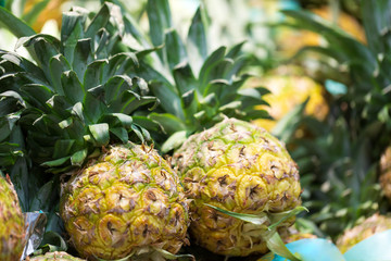 Small pineapples at the market