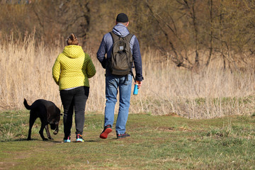 Couple walking a dog on a leash in spring forest. Care for a pet during coronavirus pandemic,...