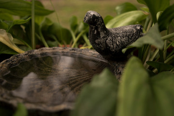 Bebedero de pájaros entre los árboles
