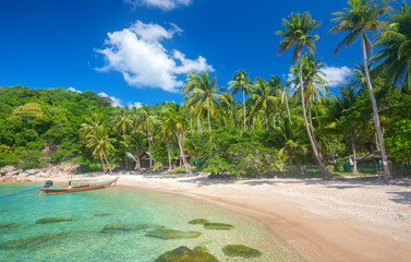 beach and coconut palm trees