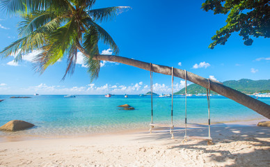 Fototapeta na wymiar beach with coconut palm trees and swing, koh Tao. Thailand