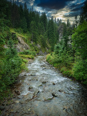 Trekking in the Kościeliska Valley, Tatra mountains.