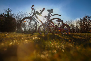 Fototapeta premium Two bicycles - adult and kid's one - standing outside in beautiful sunlight on green grass lane, bottom view, togetherness concept, kids bike seat