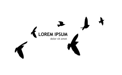 A flock of flying birds. Vector illustration