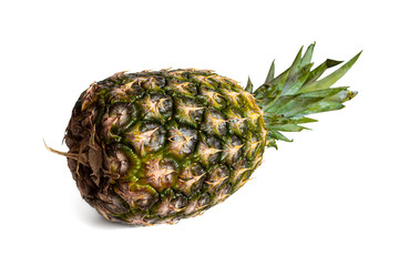 Exotic fruit pineapple on a white background
