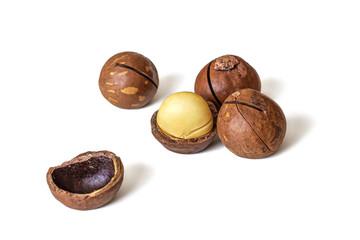 Macadamia nuts from Australia on a white background