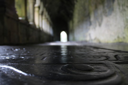 Glossy ground relief in a friary ruin