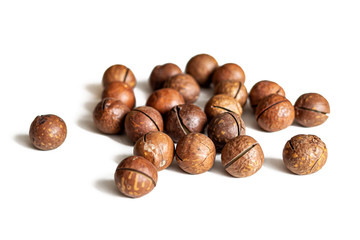 Australian macadamia nuts on a white background