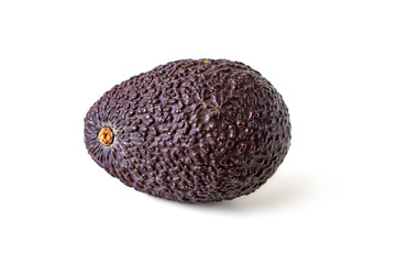 Avocado Hass with a dark, rough skin