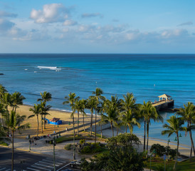Hawaii Beaches and Palm Trees 