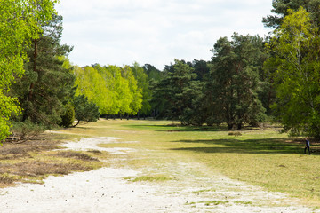 Misselhorner Heide