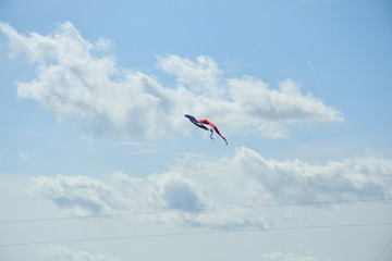 Kite Flying in a Cloudy Blue Sky