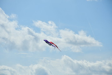 Kite Flying in a Cloudy Blue Sky