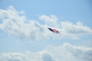 Kite in a Cloudy Blue Sky