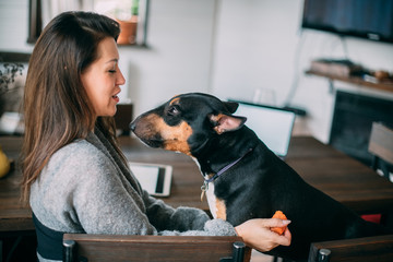 A woman plays with a dog in the living room at home.