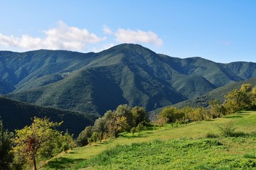 Fototapeta na wymiar Verde paisaje del Montseny