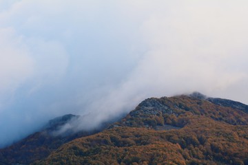 Cloudy day in Montseny