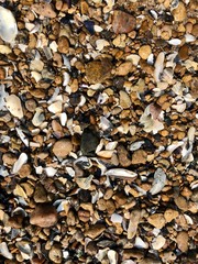 stones lie on the wet sea sand