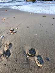 sea ​​with sand at sunset