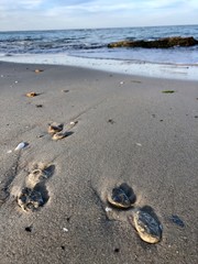 sea ​​with sand at sunset
