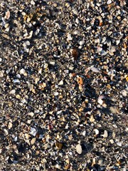stones lie on the wet sea sand