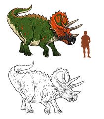Triceratops compared to human. Comparison between dinosaur and human. Dino coloring page. © Lunstream