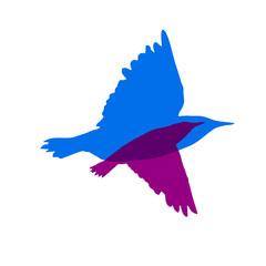 The colored flying birds logo. Vector illustration
