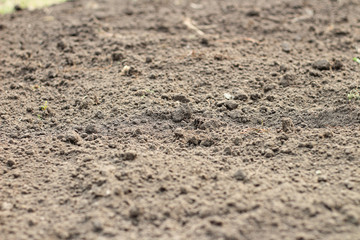 Selective focus of the soil, blurry edges, side view