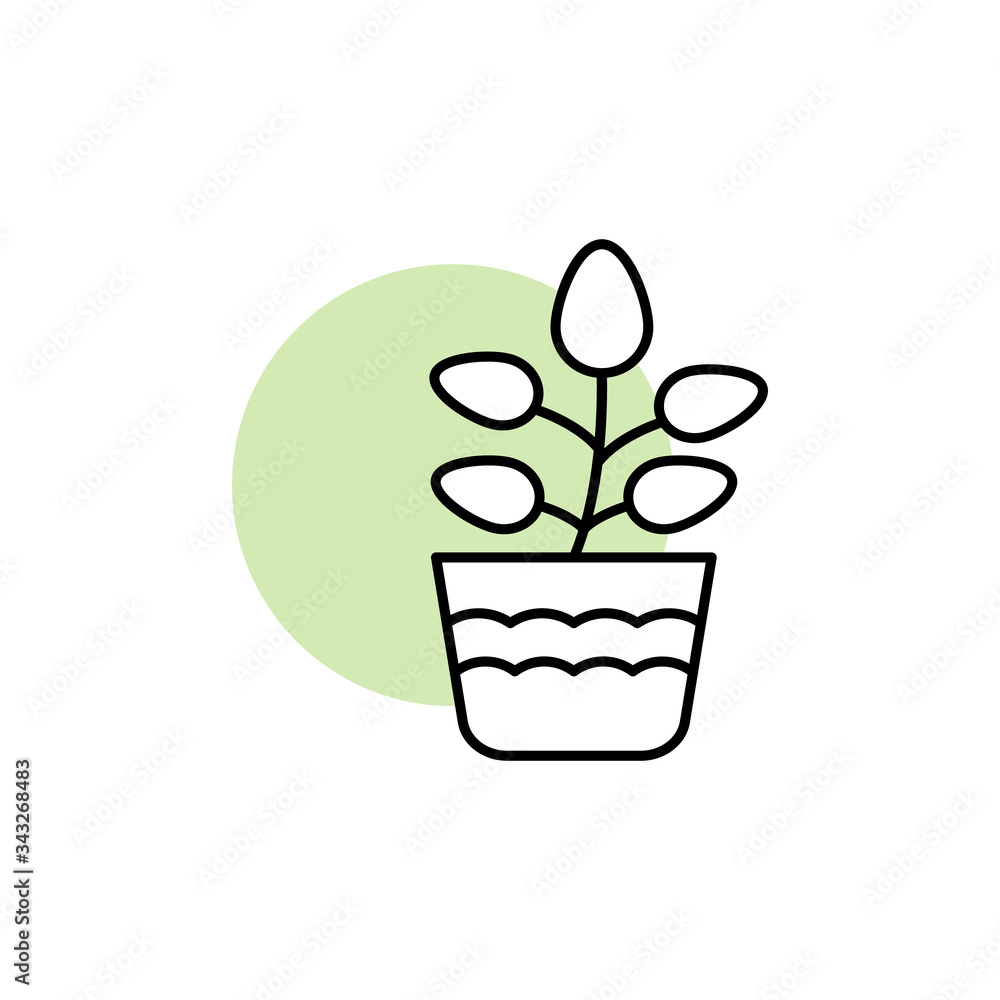 Aufkleber peperomia, plant icon. simple line, outline vector elements of flora with green circle for ui and ux