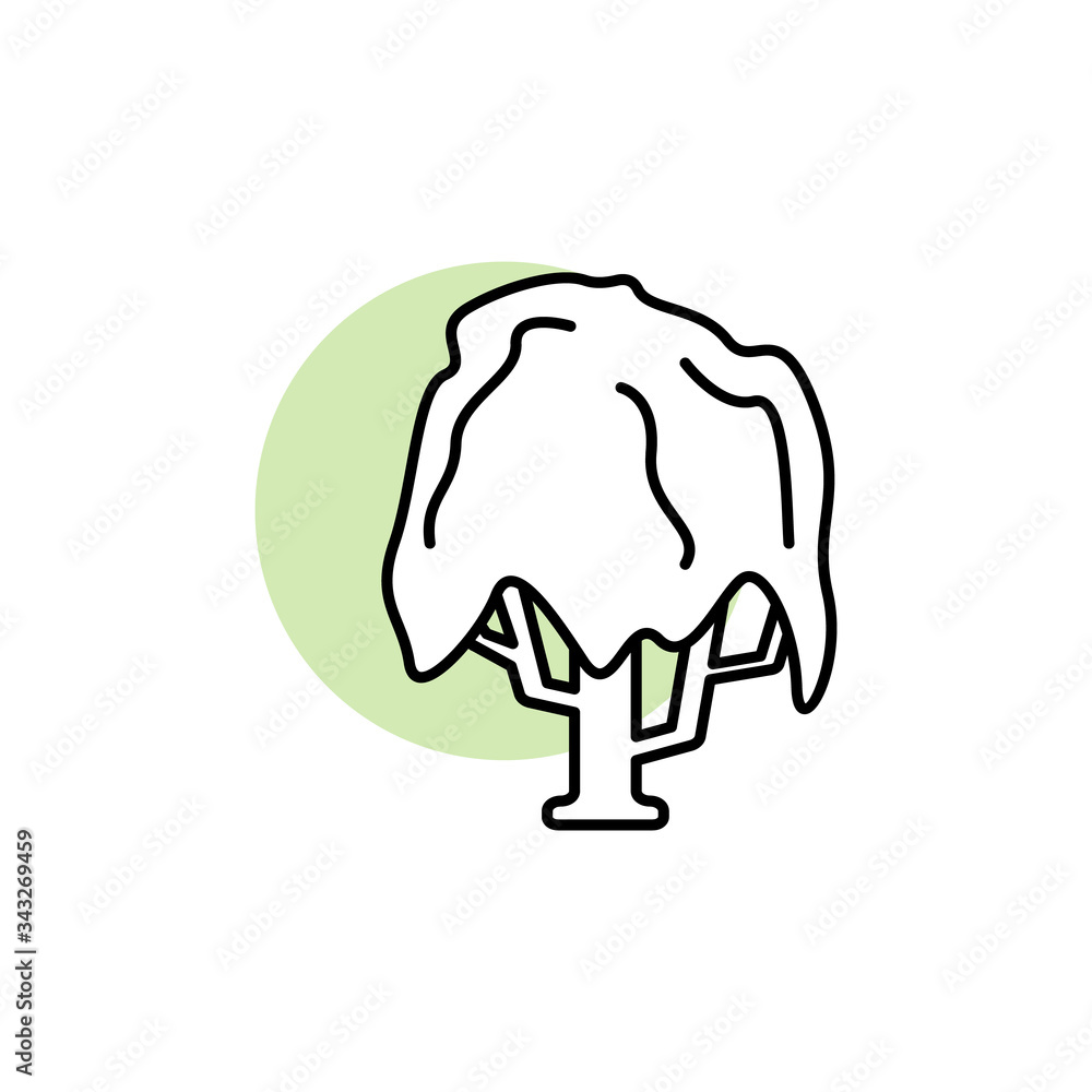 Poster tree, willow icon. simple line, outline vector elements of flora with green circle for ui and ux, we
