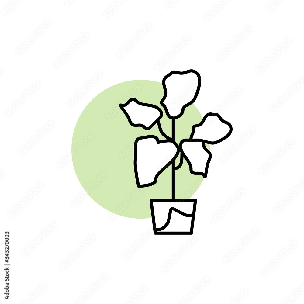 Poster fiddle-leaf fig, plant icon. simple line, outline vector elements of flora with green circle for ui 