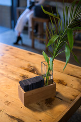 Interior decor, green plants in a vase on a wooden table, texture of barked wood