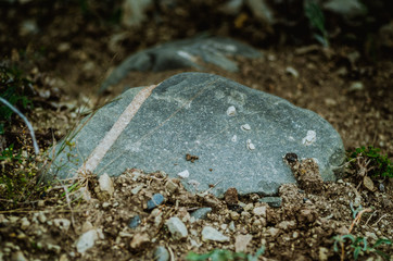 Large stone on grass close-up. Azerbaijan