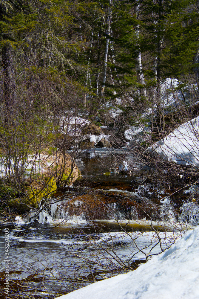 Wall mural Rivière du printemps en forêt canadienne, au Québec