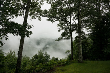 This image was captured in Breaks Interstate Park, located in Kentucky and Virginia, on a very foggy and stormy morning.