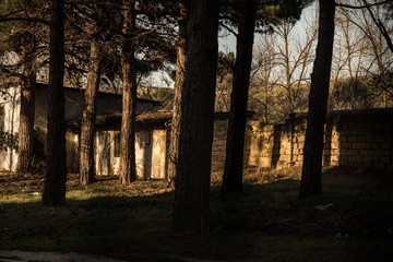 Abandoned burned old house in winter at sunset in forest. Abandoned hunting lodge in the warm rays of the sun in the middle of the forest.