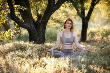 A girl is meditating under a tree. Yoga classes in nature