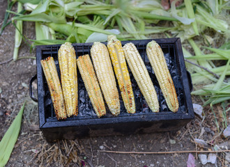 cooking barbecue corn