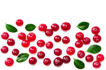 Cranberry with green leaves isolated on white background. top view