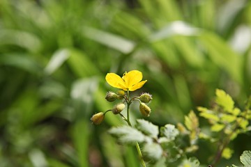 한국 인천시 강화군 전등사 입니다
