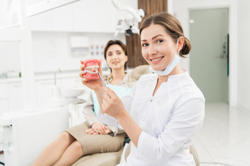 Healthy, beautiful smile. A portrait of a doctor holding an artificial jaw with an orthodontic appliance