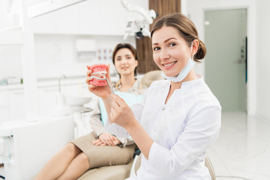 Healthy, beautiful smile. A portrait of a doctor holding an artificial jaw with an orthodontic appliance