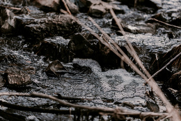 Creek in the woods. Waterfall in forest. Broken trees, branches. Dried tree branches. Large and small stones in water. Cold water. Forest nature. Water between stones. Wet stones. Yellow, brown, grey