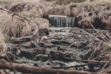 Creek in the woods. Waterfall in forest. Broken trees, branches. Dried tree branches. Large and small stones in water. Cold water. Forest nature. Water between stones. Wet stones. Yellow, brown, grey